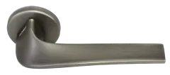 COMETA ANT