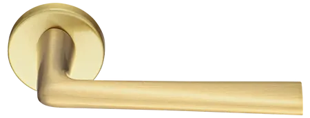 THE FORCE R5 OSA