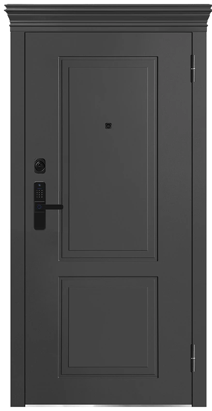 Входная дверь M-S 1012 E