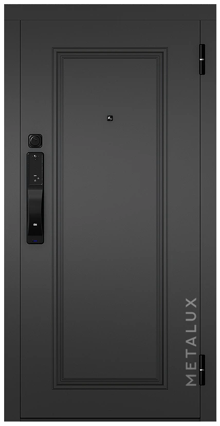 Входная дверь M-SL 631_2