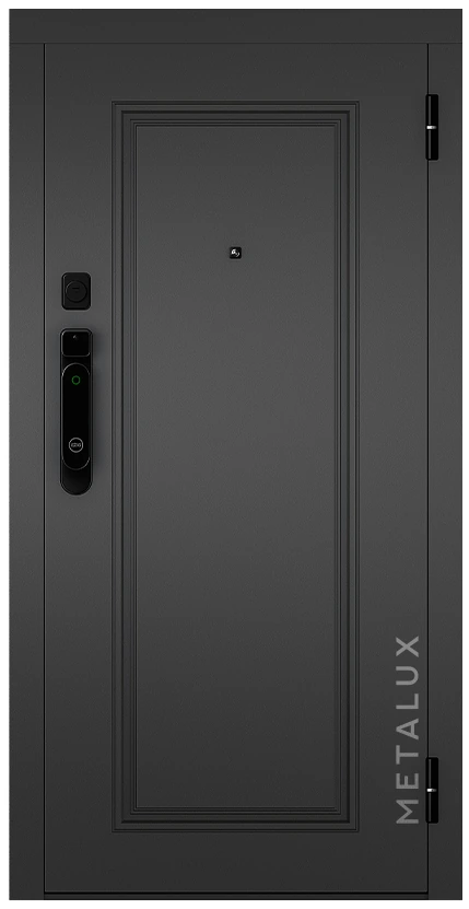 Входная дверь M-SP 631_2